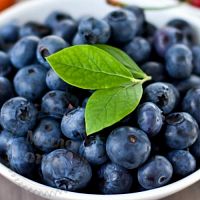 Купить Ароматизатор пищевой Fresh Picked Blueberry, 1 литр в Украине