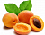 Купить Apricot Kernel Oil - универсальное масло, 100 мл в Украине