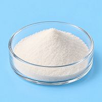 Acetyl L-Carnitine 1 kg cosmetic ingredient Mylo Opt