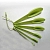A set of measuring spoons 6 pcs cosmetic ingredient Mylo Opt