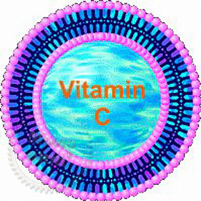 Купить LIPO-CERAVIT C (Витамин С в липосомах), 1 грамм в Украине