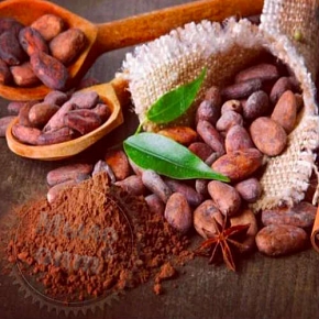 Купить Какао бобы тертые Гана, 100 гр в Украине
