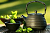 Купить Ароматизатор пищевой Green Tea, 5 мл в Украине