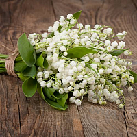 Fragrance Oil Fresh lily of the valley, 100 ml