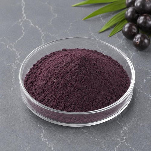 Acai Berry Extract Powder 100 g cosmetic ingredient Mylo Opt