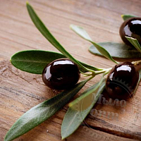 Olive pits, scrub 50 gr