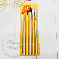 A set of brushes 6 pcs