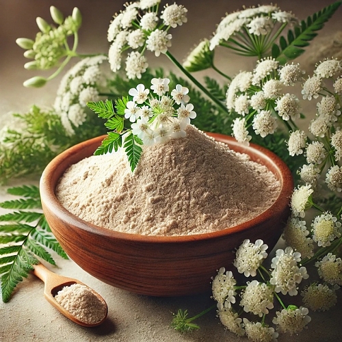 Сухой Экстракт цветков Тысячелистника, 1 кг