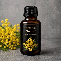 Абсолют Мімози 500 гр інгредієнт для косметики і мила Мило Опт
