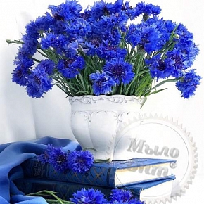 Купить Сухоцвет Василек синий лепестки, 1 кг в Украине