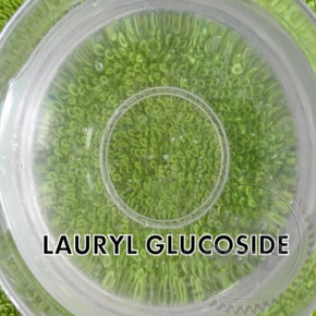 Купить Lauryl Glucoside, 1 кг в Украине