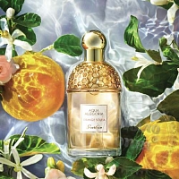 Fragrance Oil Aqua Allegoria Orange Soleia Guerlain, 20 ml
