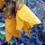 Dried Sophora Japanese flower buds, 1 kg, photos, reviews, use