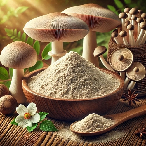 Экстракт Копринуса сухой, 5 грамм