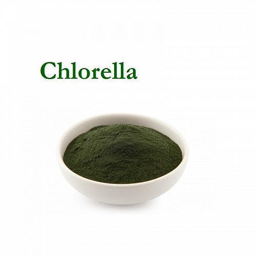 Chlorella powder, 1 kg, photos, reviews, use