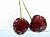 Water soluble - Ripe cherry Fragrance Oil, 1 liter, photos, reviews, use