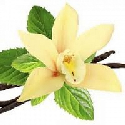 Vanilla Spark Fragrance Oil, 1 liter, photos, reviews, use