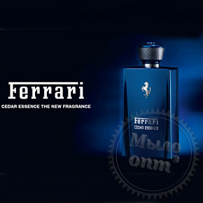 Купить Отдушка Cedar Essence Men by Ferrari, 5 мл в Украине