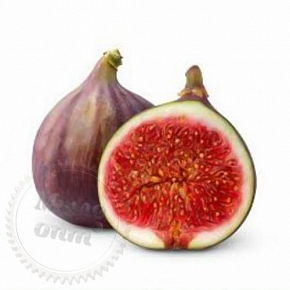 Купить Ароматизатор Fig, 1 литр в Украине