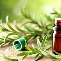 Tarragon essential oil, 5 ml