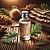 Oak Bark Hydrosol 1 L, photos, reviews, use