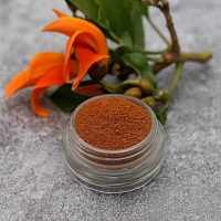 Ayurvedic powder Butea 25 g cosmetic ingredient Mylo Opt