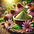 Echinacea Extract Powder 1:5 1 kg, photos, reviews, use
