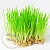 Freshly Cut Grass Flavor 1 L, photos, reviews, use