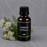 Экстракт Тысячелистника, 1 л артикул 900146