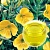 Evening primrose oil, 1 liter, photos, reviews, use