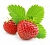 Strawberry Extra Fragrance Oil 1 L, photos, reviews, use
