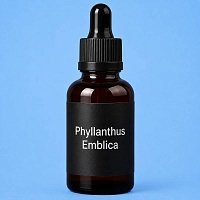 Phyllanthus Emblica 1 kg cosmetic ingredient Mylo Opt