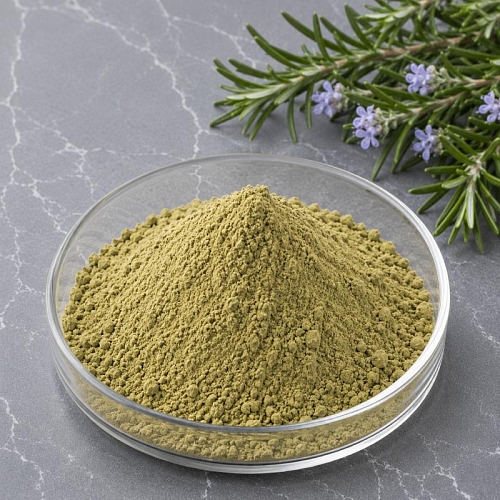 Экстракт Розмарина сухой, 1 кг артикул K50154