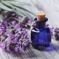 Lavender Essential Oil Premium Grade 5 ml