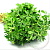 Fenugreek CO2 Extract, 100 g, photos, reviews, use