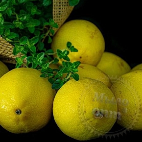 Купить Отдушка Лимон с Мятой, 1 литр в Украине