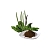 Plantain Herb Extract Powder 10 g cosmetic ingredient Mylo Opt