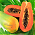 Papaya Fragrance Oil, 10 ml, photos, reviews, use