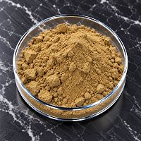 Экстракт Сенны (18-20% по сенозидам) сухой, 1 кг артикул K50274