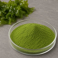 Ulva Extract Powder 1 kg cosmetic ingredient Mylo Opt
