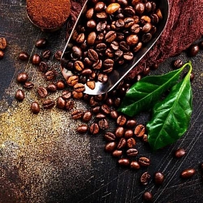 Купить Эфирное масло Кофе Арабика, 5 мл в Украине
