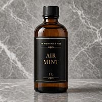 Отдушка Air Mint