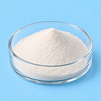 Acetyl L-Carnitine 100 g cosmetic ingredient Mylo Opt