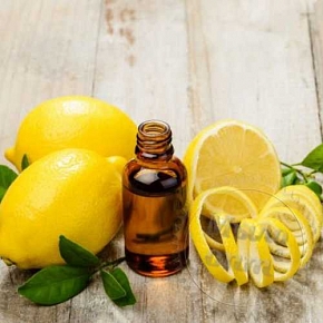 Купить Эфирное масло Лимона белого, 100 мл в Украине