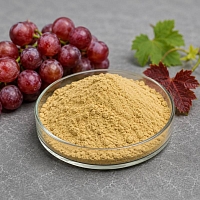 Red Grape Leaf Extract Powder 1 kg cosmetic ingredient Mylo Opt