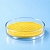 Antioxidant Fisetin, 5 g cosmetic ingredient Mylo Opt