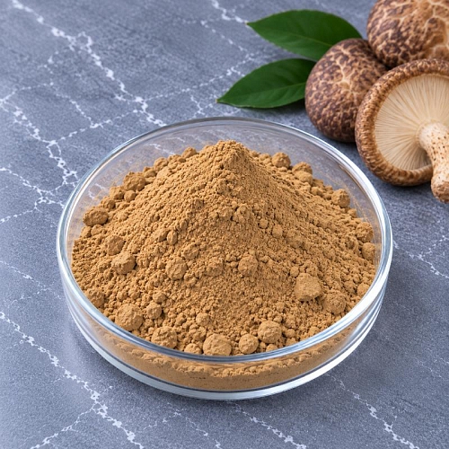 Shiitake Extract Powder 1 kg cosmetic ingredient Mylo Opt