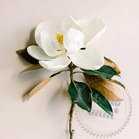 Отдушка White Magnolia, 1 л