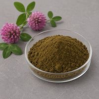 Clover Extract Powder 1 kg cosmetic ingredient Mylo Opt