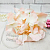 Hydrangea Flower Ivory Pink, photos, reviews, use